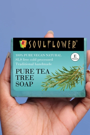 pure-tea-tree-soap-for-body-acne-control