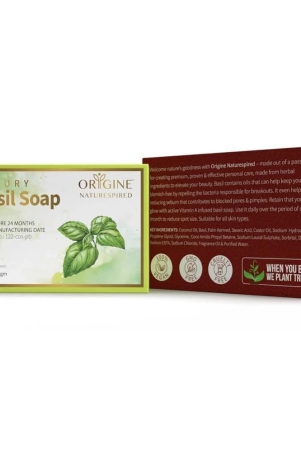 origine-naturespired-beauty-soap-for-normal-skin-pack-of-1-