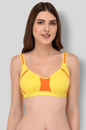 elina-multicolor-cotton-non-padded-womens-t-shirt-bra-pack-of-1-34c