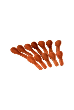 edible-soup-spoon-spicy-18-pcs