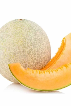 melons-muskmelon-cantaloupes-appx-1kg-to-15-kg-1-kg