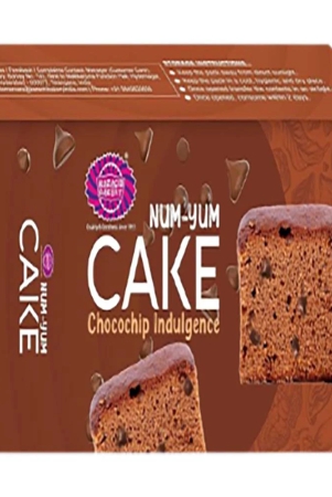 karachi-bakery-karachi-num-yum-cake-fruity-drool-80-gm