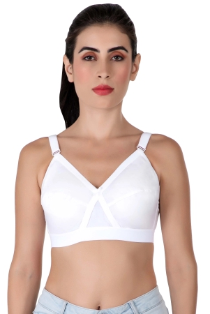 eves-beauty-womens-non-padded-non-wired-full-coverage-bra-42d-white-cotton-terylene-blend