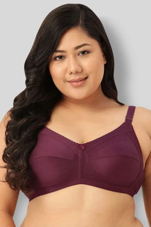 leading-lady-purple-cotton-non-padded-womens-t-shirt-bra-pack-of-1-48b