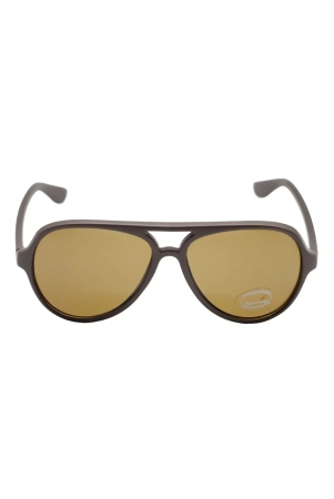 brown-aviator-sunglasses-for-men