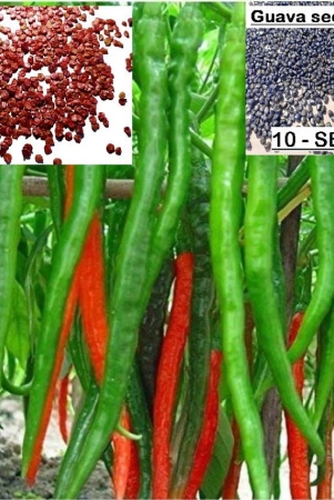 homeagro-chilli-vegetable-seeds-pack-of-40