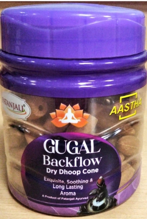 aastha-backflow-dhoop-cone-gugal-160-gm