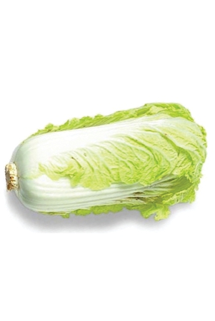 cabbage-chinese-1-pc