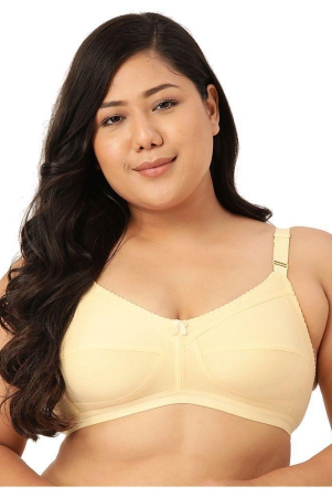 leading-lady-cotton-t-shirt-bra-beige-single-46b