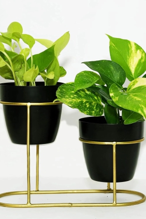 kuber-industries-planter-desktop-flower-planter-balcony-flower-pot-home-dcor-flowers-pot-flower-planter-for-office-dcor-double-planter-with-golden-stand-1128-a-black-kuber-industries-plant