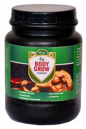 rikhi-g-g-body-grow-weight-gainer-powder-500-gm