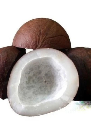 dry-coconut-1-kg