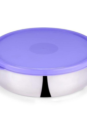 oliveware-steel-purple-food-container-set-of-1-purple