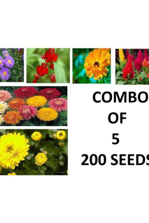 combo-of-5-mix-flower-seeds-aster-blasam-clendula-guldawadi-and-2-moree