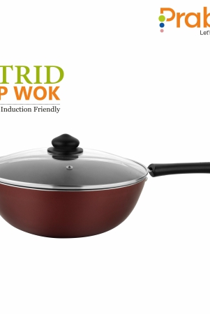 Astrid Nonstick Deep Wok With Glass Lid-24CM / 2.6 Litre