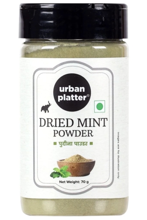 urban-platter-dried-mint-powder-shaker-jar-70g-24oz-premium-quality-pudina-powder