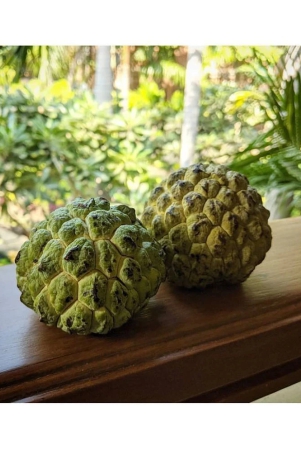 flare-seeds-custard-apple-hybrid-seeds-high-germinated-15-seeds