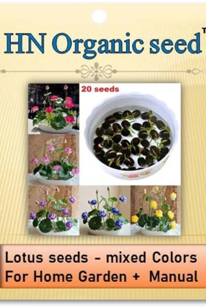 homeagro - Flower Seeds ( Lotus seeds -mixed colours 20 seeds )