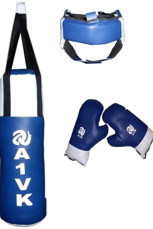 a1vk-junior-boxing-kit-punch-bag-gloves-blue