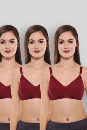 bodycare-cotton-seamless-bra-maroon-34