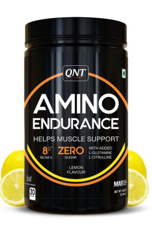 qnt-amino-endurance-powder-400-gms