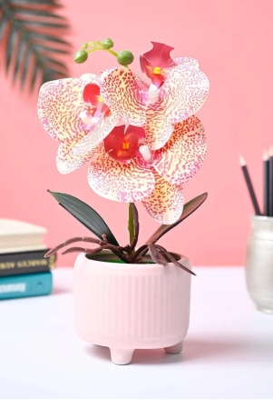 market99-white-artificial-orchid-flower-with-golden-pot