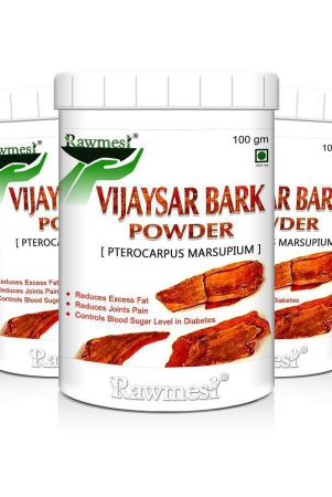 rawmest-vijaysar-bark-powder-300-gm-pack-of-3