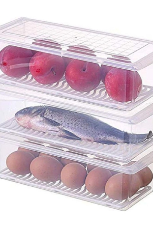 fridge-storage-container-with-drain-tray-and-lid-transparent-polyproplene-food-container-pack-of-3-transparent