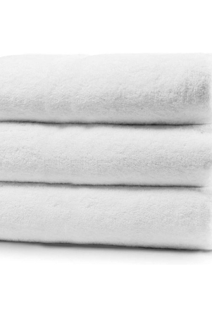 shelter-premium-pure-best-100-cotton-white-bath-towel-size-61x-41cm-pack-of-3