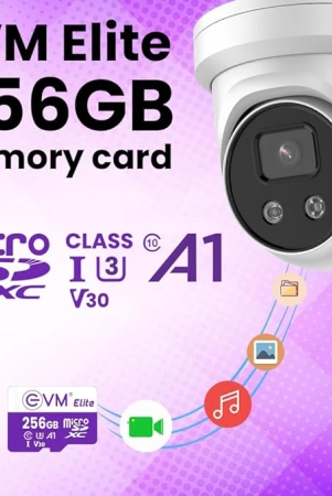 evm-elite-256gb-microsdxc-class-10-u3-v30-memory-card-5-years-warranty-eetf256gu1