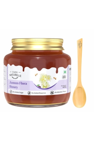 farm-naturelle-jamun-flower-wild-forest-honey-400g-extra-100-pure-honey-raw-unfilteredunprocessedlab-tested-honey-in-glass-jar-with-extra-spoon