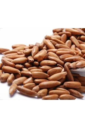 havenuts-pine-nuts-with-skin-100-gm