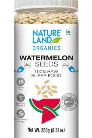 natureland-organics-watermelon-seeds-raw-250-gm