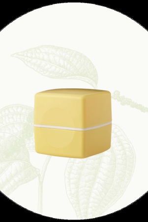 lemon-lip-balm-10gm