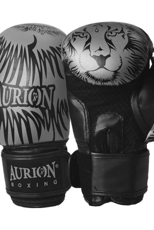 aurion-by-10club-leather-boxing-gloves-pack-of-2-none