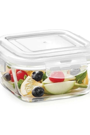 oliveware-food-storage-glass-transparent-food-container-set-of-1-transparent