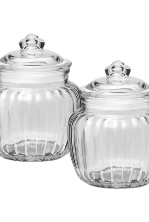 Treo By Milton Pot Jar With Glass Lid, Set of 2, 670 ml Each, Transparent | Air Tight | Storage Jar | Kitchen Organiser | Modular | Dishwasher Safe - Transparent