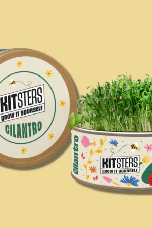 grow-in-a-can-cilantro