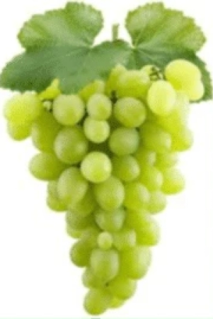 grapes