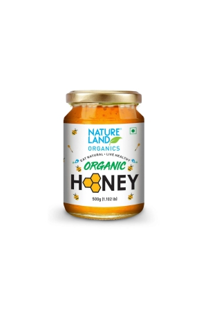 Honey  500 Gm