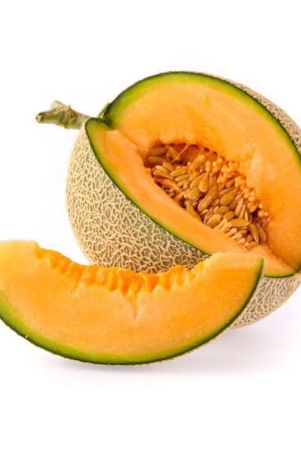 musk-melon-golden-orange-flesh-muskmelon-seeds-50-kharbuja-seeds