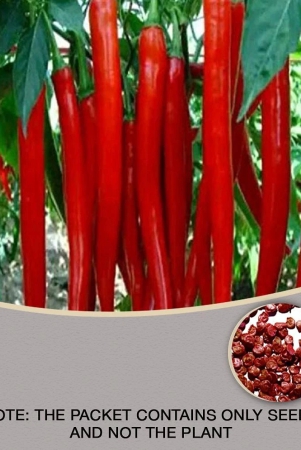 recron-seeds-chilli-vegetable-50-seeds-