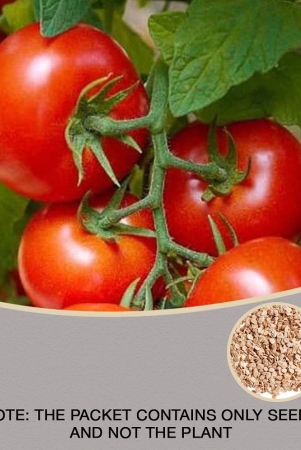 arka-rakshak-f1-hybrid-tomato-50-seeds