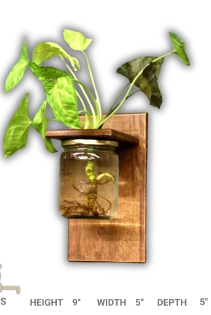 wall-planter-single-jar