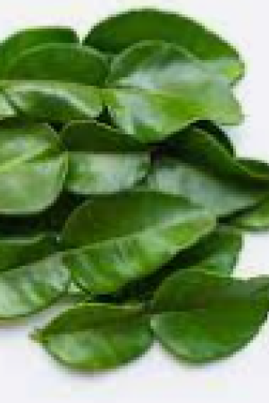kaffir-lime-leaves-20-gms