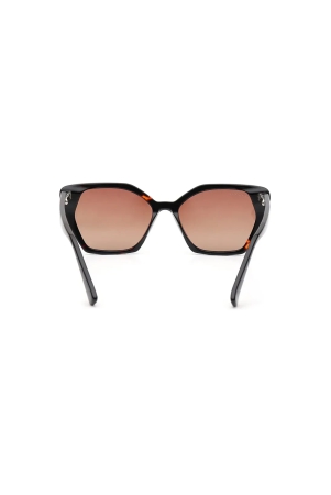 brown-cateye-sunglasses-for-women