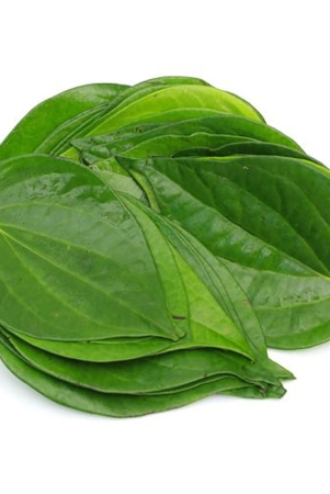 betel-leaf-1-pc