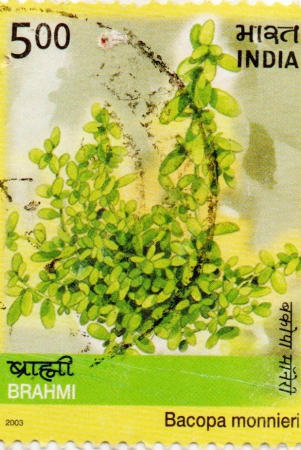 india-brahmi-used-postage-stamp