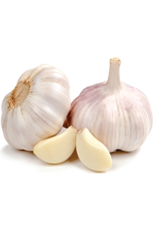 garlic-500-gms