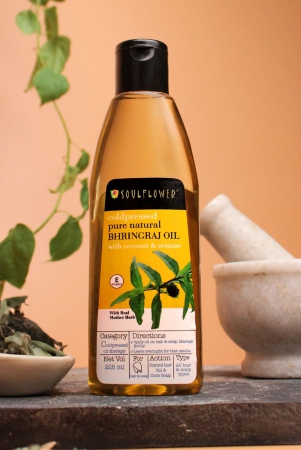 cold-pressed-bhringraj-hair-oil